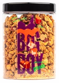 Big Boy Proteinová granola Sweet and Salty 360 g