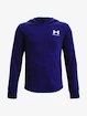 Chlapecká mikina Under Armour  Rival Terry Hoodie-BLU