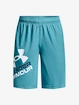 Chlapecké šortky Under Armour  Prototype 2.0 Logo Shorts-BLU S