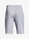 Chlapecké šortky Under Armour  Prototype 2.0 Logo Shorts gray