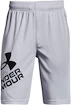 Chlapecké šortky Under Armour  Prototype 2.0 Logo Shorts gray M