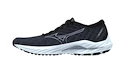 Dámská běžecká obuv Mizuno  Wave Inspire 19 D Black/Silverstar/Snowcres