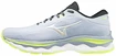 Dámská běžecká obuv Mizuno  Wave Sky 5 Heather/White