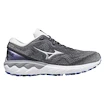 Dámská běžecká obuv Mizuno  Wave Skyrise Wave Skyrise 2 / Blackened Pearl / Silver / Antarctica  UK 7,5