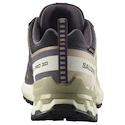 Dámská běžecká obuv Salomon Xa Pro 3D V9 Gore-Tex Nine Iron/Oxford Tan/Alfalfa