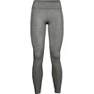 Dámské legíny Under Armour  Favorite WM Leggings Grey