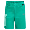 Dětské šortky Jack Wolfskin  Active Shorts Deep Mint