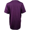 Dětské tričko Endurance  Parbin Unisex Melange SS Tee Purple