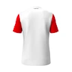 Dětské tričko Head  CLUB 25 Tech T-Shirt Boys Red/White