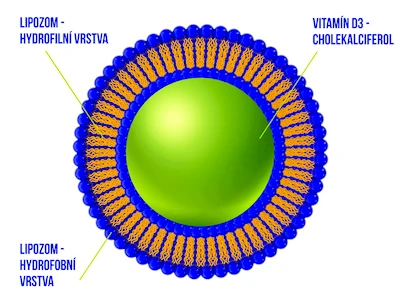 Ekolife Natura Liposomal Vitamin D3 (Lipozomální vitamín D3) 60 ml