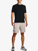 Kraťasy Under Armour UA Tech WM Graphic Shorts-GRY