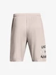 Kraťasy Under Armour UA Tech WM Graphic Shorts-GRY