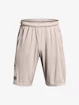 Kraťasy Under Armour UA Tech WM Graphic Shorts-GRY