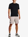 Kraťasy Under Armour UA Tech WM Graphic Shorts-GRY