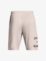 Kraťasy Under Armour UA Tech WM Graphic Shorts-GRY