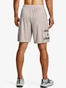 Kraťasy Under Armour UA Tech WM Graphic Shorts-GRY