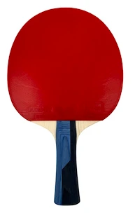 Pálka na stolní tenis Butterfly  Boll Sapphire