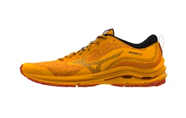 Pánská běžecká obuv Mizuno Wave Rider Gtx Zinnia/Tigerlily/Black