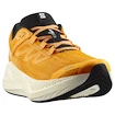 Pánská běžecká obuv Salomon Aero Glide 3 Turmeric/White/Black