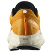 Pánská běžecká obuv Salomon Aero Glide 3 Turmeric/White/Black