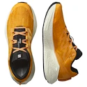 Pánská běžecká obuv Salomon Aero Glide 3 Turmeric/White/Black