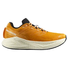 Pánská běžecká obuv Salomon Aero Glide 3 Turmeric/White/Black