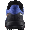 Pánská běžecká obuv Salomon Pulsar Trail GTX Dazzling Blue