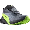 Pánská běžecká obuv Salomon Sense Ride 5 GTX Flint/Black/Grgeck