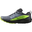 Pánská běžecká obuv Salomon Sense Ride 5 GTX Flint/Black/Grgeck