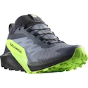 Pánská běžecká obuv Salomon Sense Ride 5 GTX Flint/Black/Grgeck