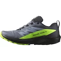 Pánská běžecká obuv Salomon Sense Ride 5 GTX Flint/Black/Grgeck