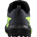 Pánská běžecká obuv Salomon Sense Ride 5 GTX Flint/Black/Grgeck