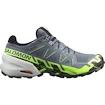 Pánská běžecká obuv Salomon Speedcross 6 Gtx Flint/Grgeck/Black  UK 9,5