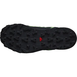 Pánská běžecká obuv Salomon Thundercross  GTX Black/Grgeck/Black  UK 12,5