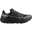 Pánská běžecká obuv Salomon Thundercross  GTX Black/Grgeck/Black  UK 12,5