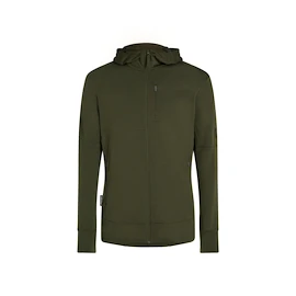 Pánská mikina Icebreaker Merino 260 Quantum IV LS Zip Hoodie Loden