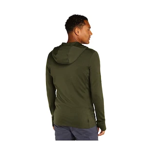 Pánská mikina Icebreaker Merino 260 Quantum IV LS Zip Hoodie Loden