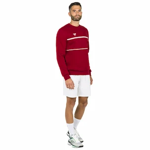 Pánská mikina Tecnifibre  Club Sweater Cardinal