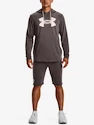 Pánská mikina Under Armour  Rival Terry Logo Hoodie-BRN