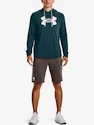 Pánská mikina Under Armour  Rival Terry Logo Hoodie-GRN