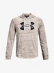 Pánská mikina Under Armour  Rival Terry Logo Hoodie-WHT