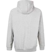 Pánská mikina Virtus  Oralie Hoody grey