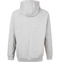 Pánská mikina Virtus  Oralie Hoody grey