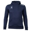 Pánská mikina Warrior Alpha X Aspire Hoody