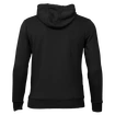 Pánská mikina Warrior Alpha X Aspire Hoody