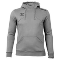 Pánská mikina Warrior Alpha X Aspire Hoody Gray 3XL