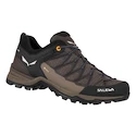 Pánská obuv Salewa  MTN Trainer Lite GTX   UK 11