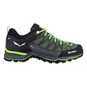 Pánská outdoorová obuv Salewa  MS MTN Trainer Lite Gtx Myrtle/Ombre Blue