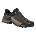 Pánská outdoorová obuv Salewa  MS MTN Trainer Lite Gtx  Wallnut/Fluo Orange