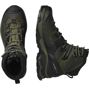 Pánská outdoorová obuv Salomon Quest 4 Gore-Tex Olive Night/Peat/Safari  UK 8,5